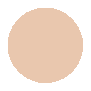 CONTOUR POWDER 6 WELL DARK